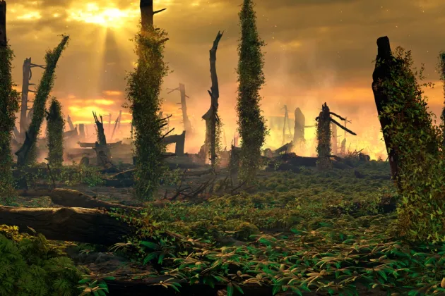 Created image of a former forest with ferns on the ground.