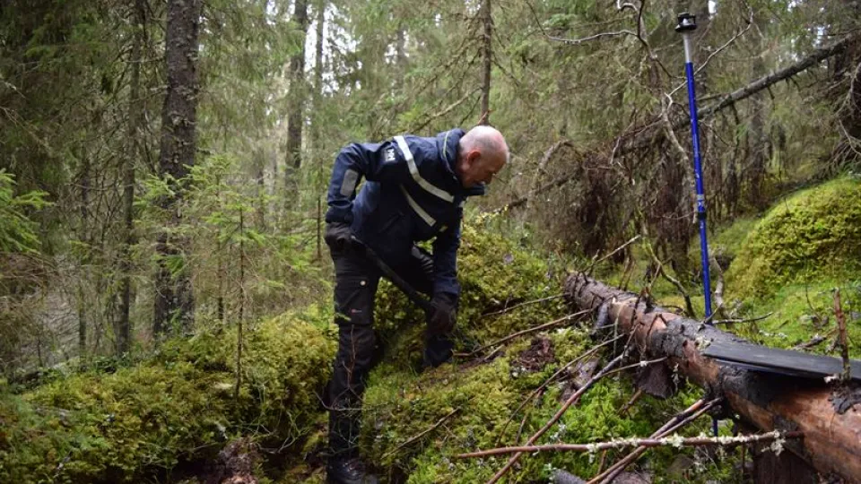 Anders arbetar mitt i en urskog.