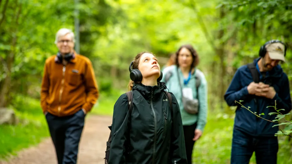Fyra personer går i grönskande skog med hörlurar