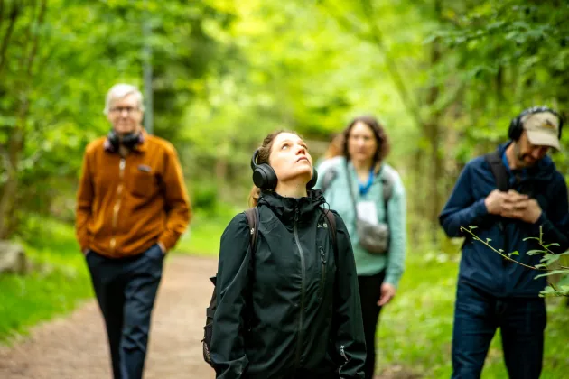 Fyra personer går i grönskande skog med hörlurar