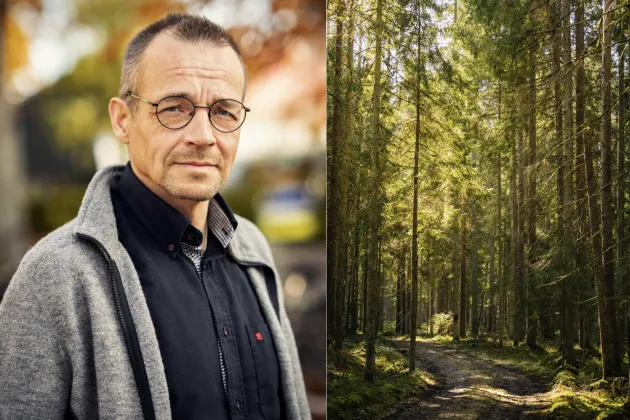 Markku Rummukainen och en skog. 